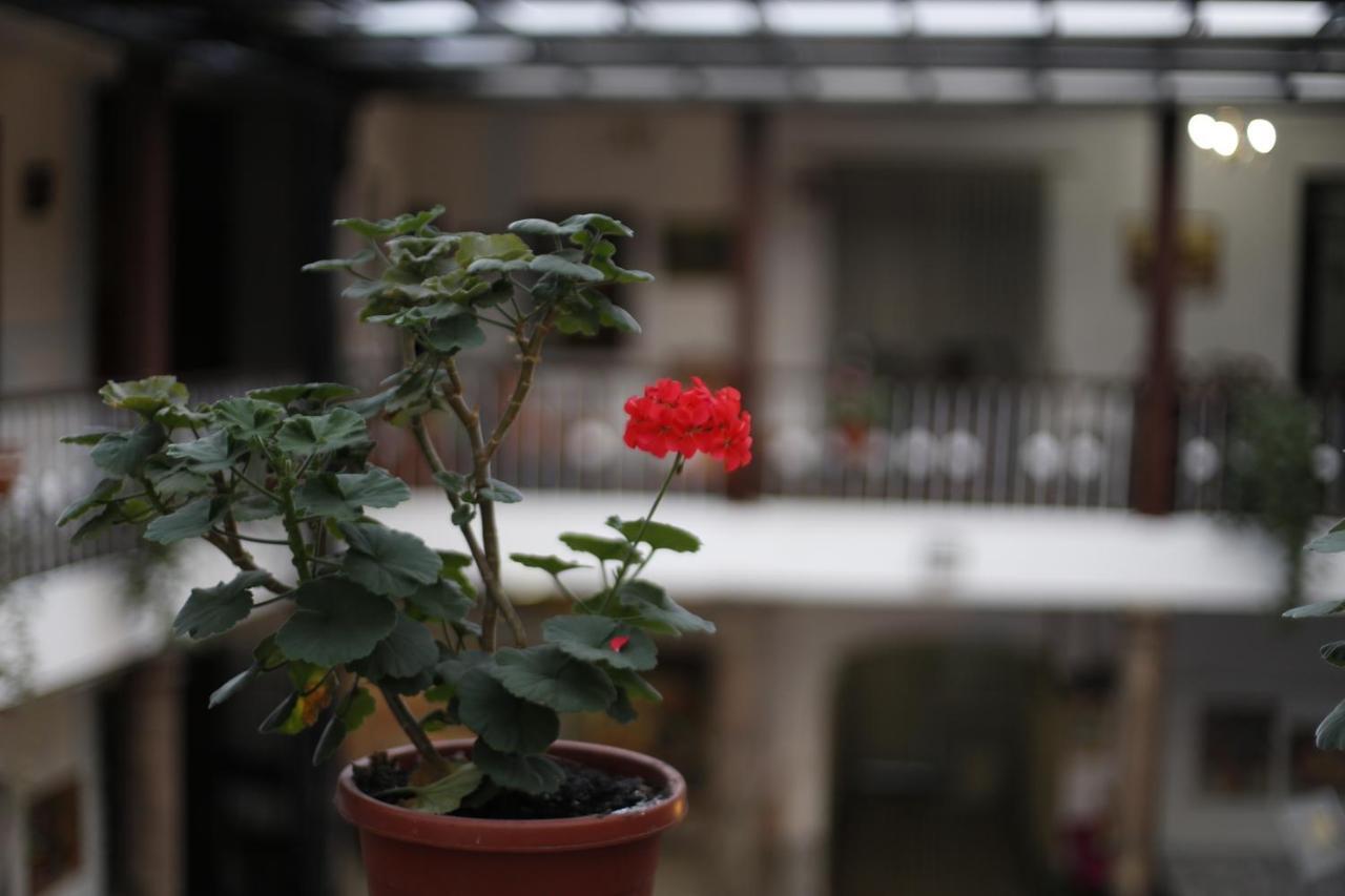 San Marcos Cultural & Guesthouse Кіто Екстер'єр фото
